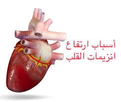 اسباب ارتفاع انزيمات القلب